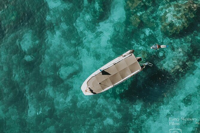 Coromandel Adventure and Wildlife Boat Tour to Aldermen Islands - Coromandel Adventure and Wildlife Boat Tour to Aldermen Islands: An Authentic Marine Escape