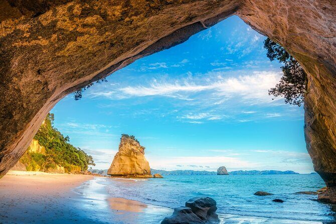 Coromandel Cathedral Cove and Hot Water Beach - The Details of the Tour