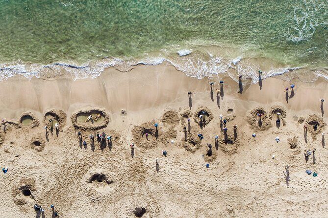 Coromandel Cathedral Cove and Hot Water Beach Tour from Auckland - The Crown Jewel: Hot Water Beach