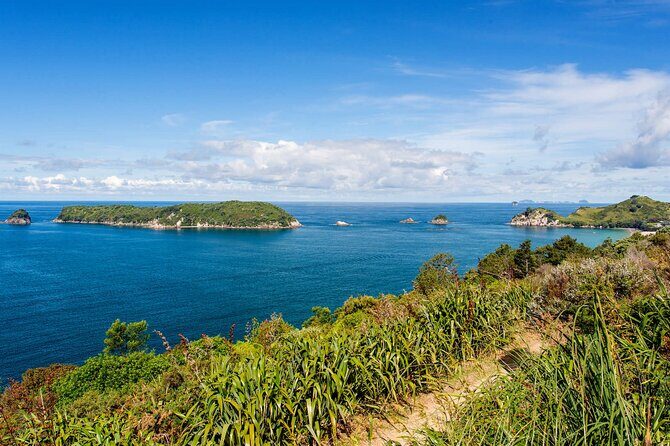Coromandel Cathedral Cove and Hot Water Beach Tour from Auckland - Return to Auckland: A Restful Finish