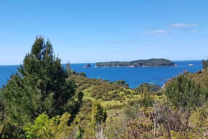 Coromandel Cathedral Cove Walk & Hot Water Beach Day Tour - Discovering the Highlights of the Tour