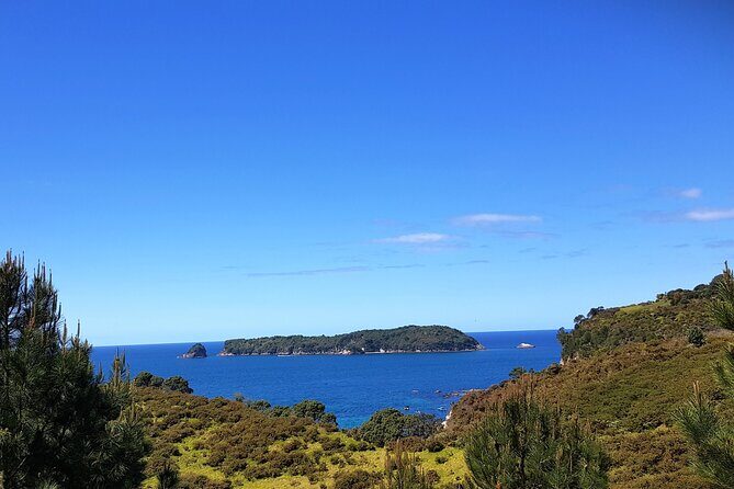 Coromandel Cathedral Cove Walk & Hot Water Beach Day Tour - Final Thoughts: Is It Worth It?