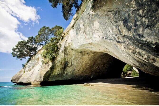 Coromandel Caves, Hot Water Beach&Driving Creek Railway(optional) - FAQ