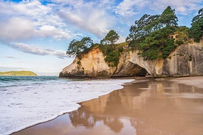 Coromandel Coastal Experience - Small Group Tour from Auckland - Return to Auckland and Final Thoughts