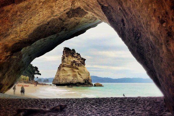 Coromandel Coastal Experience - Small Group Tour from Auckland - What Do the Reviews Say?