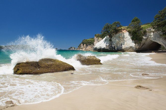 Coromandel Coastal Experience - Small Group Tour from Auckland - The Practical Details