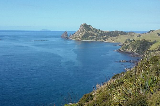 Coromandel Coastal Experience - Small Group Tour from Auckland - Final Thoughts: Who Will Love This Tour?