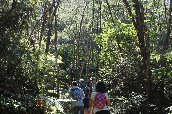 Coromandel Coastal Walkway Day Tour Ex Colville - Hiking the Coromandel Coastal Walkway