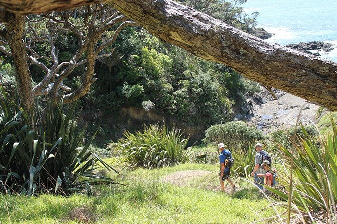 Coromandel Coastal Walkway: Full-Day Hike and Bike Tour - Inclusions