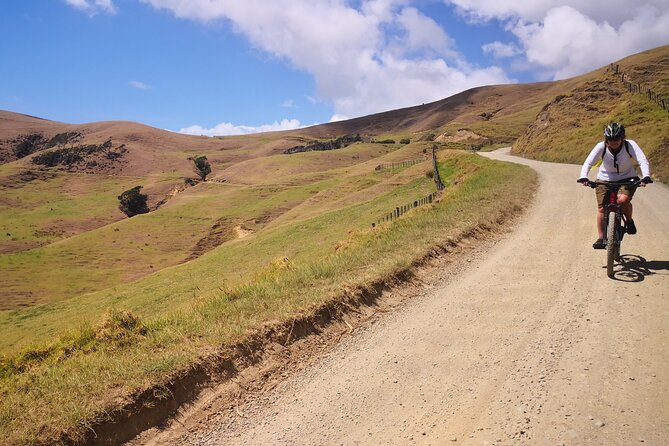 Coromandel Coastal Walkway: Full-Day Hike and Bike Tour - Timing and End Point