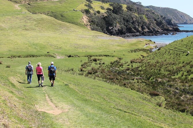 Coromandel Coastal Walkway: Full-Day Hike and Bike Tour - Cancellation Policy