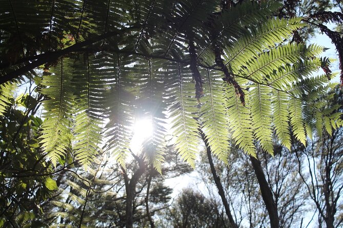 Coromandel Coastal Walkway: Full-Day Hike and Bike Tour - Additional Information