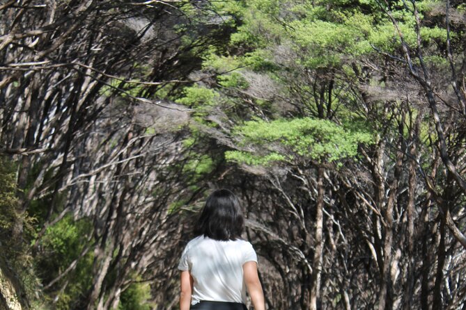 Coromandel Coastal Walkway: Full-Day Hike and Bike Tour - Background