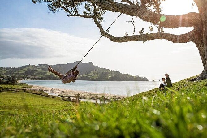 Coromandel Day Tour From Auckland - FAQs About the Coromandel Day Tour