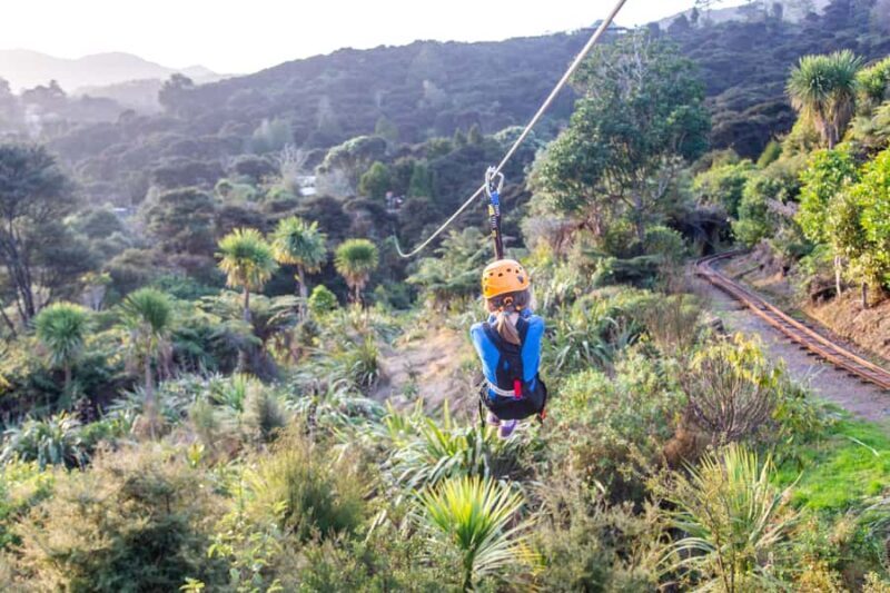 Coromandel: Guided Zipline Tour Experience - Final Thoughts