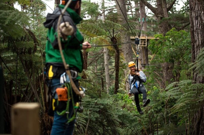Coromandel: Guided Zipline Tour Experience - Good To Know
