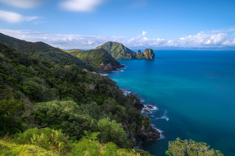 Coromandel Peninsula & Cathedral Cove - Scenic Day Trip from Auckland - The day in a few key points
