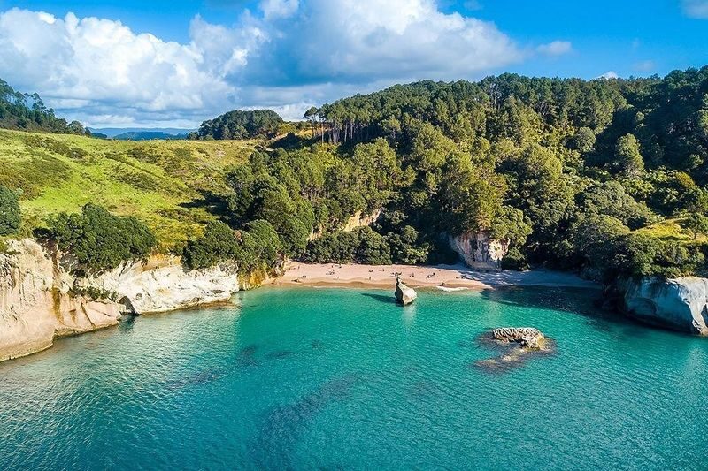 Coromandel Peninsula & Cathedral Cove - Scenic Day Trip from Auckland - Two very different Coromandel beaches