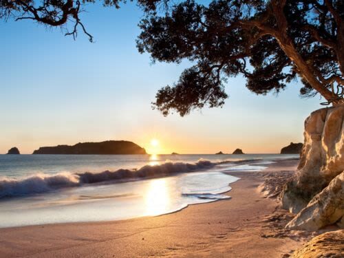 Coromandel Peninsula & Cathedral Cove - Scenic Day Trip from Auckland - Walking down to Cathedral Cove