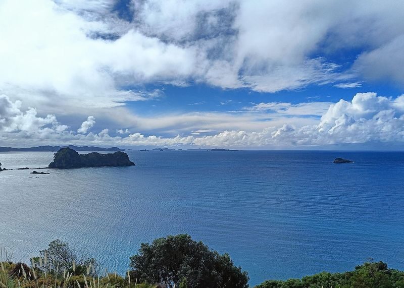 Coromandel Peninsula & Cathedral Cove - Scenic Day Trip from Auckland - Guides, group size, and the pace of the day