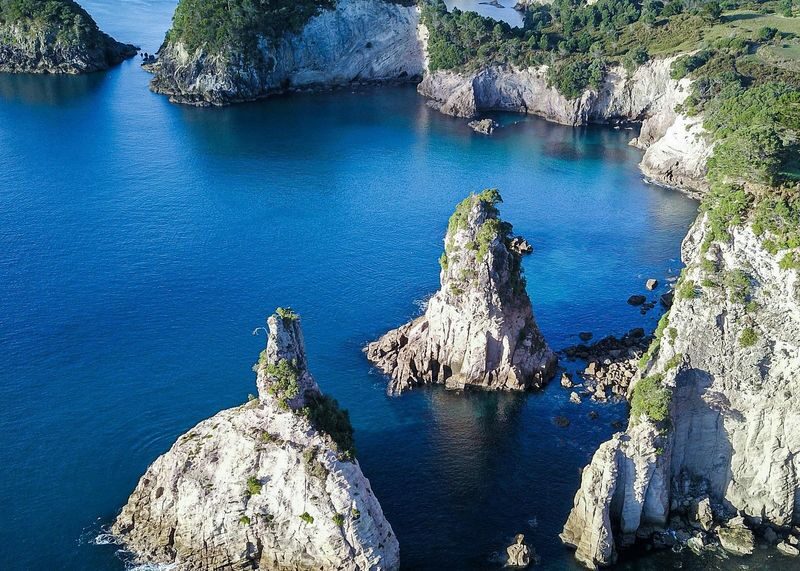 Coromandel Peninsula & Cathedral Cove - Scenic Day Trip from Auckland - What the price buys you
