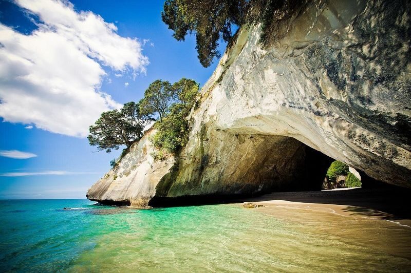 Coromandel Peninsula & Cathedral Cove - Scenic Day Trip from Auckland - Who should book this Coromandel day trip?