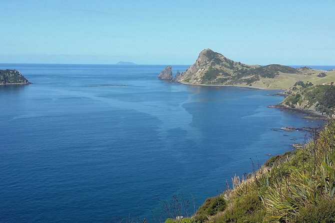 Coromandel Peninsula Discovery - Private Tour From Auckland - Tour Duration and Meeting Point