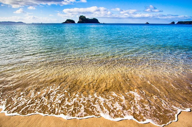 Coromandel Peninsula Discovery - Private Tour From Auckland - Fitness and Health Considerations