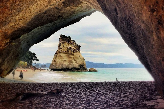 Coromandel Peninsula Discovery - Private Tour From Auckland - Tour Restrictions and Requirements