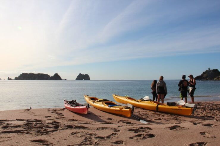 Coromandel Peninsula: Volcanic Coast Kayaking Adventure - Experience