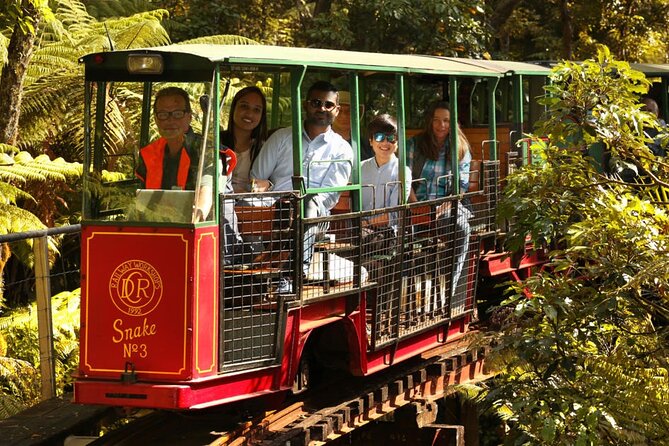 Coromandel Private Day Tour - Pick-up Time and Hotel Arrangements