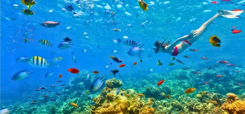 Coron: 2-Day Guided Overnight Island Stay with Meals - Good To Know