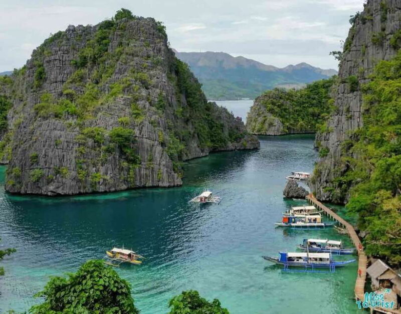 Coron: Barracuda Lake and Reef Garden Tour with Lunch - A Closer Look at the Itinerary  