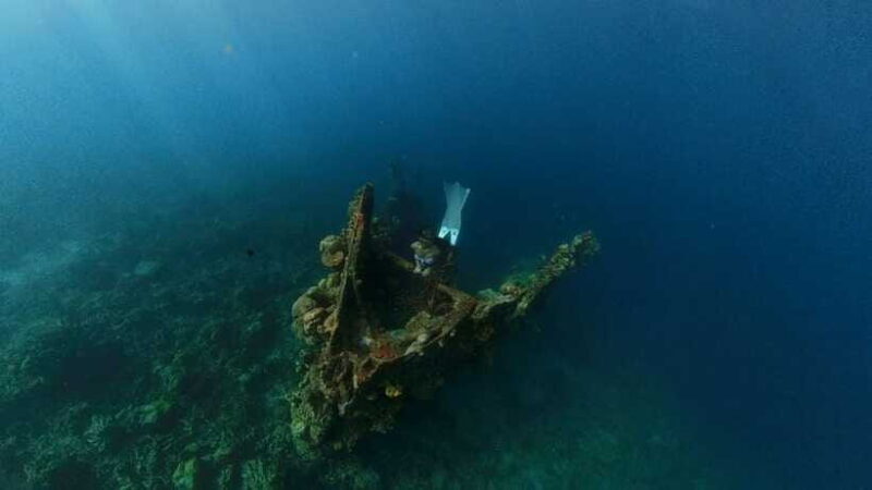 Coron: Barracuda Lake and Reef Garden Tour with Lunch - FAQs  