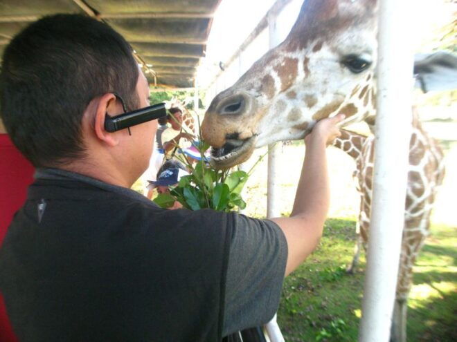 Coron: Calauit Safari Adventure - Assisting Park Rangers During Feeding Time