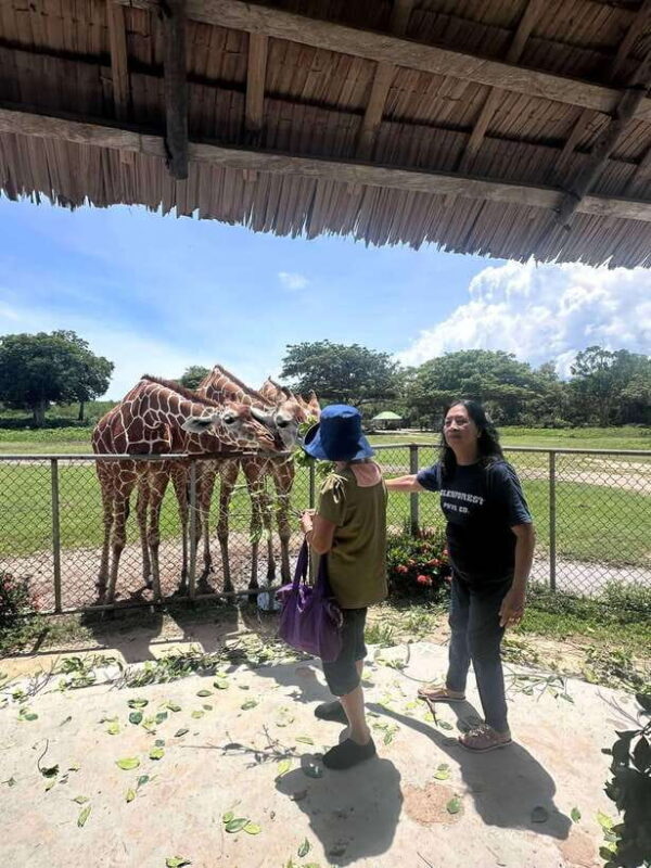 Coron: Calauit Safari Black Island Lunch & Transfer included - The Sum Up