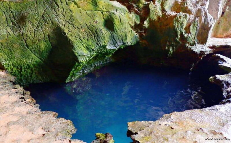 Coron Calauit Safari Tour (Private Tour) - What to Expect from the Coron Calauit Safari Tour