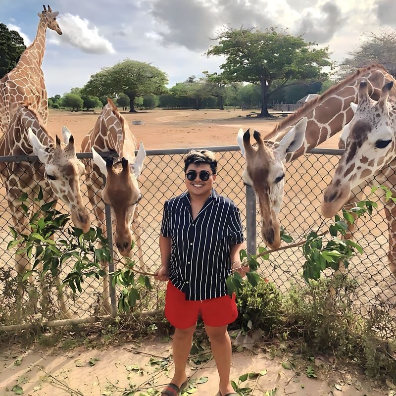 Coron Calauit Safari with Black Island - From Coron to Calauit’s open country