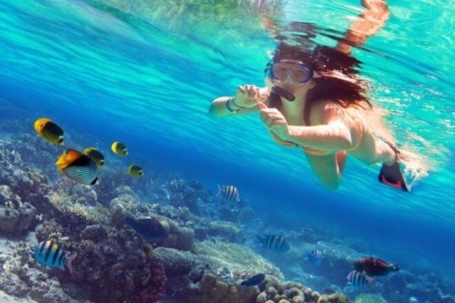 Coron: Coastal Cliffs, Beach & Malcapuya Island Hopping Tour - Booking Information
