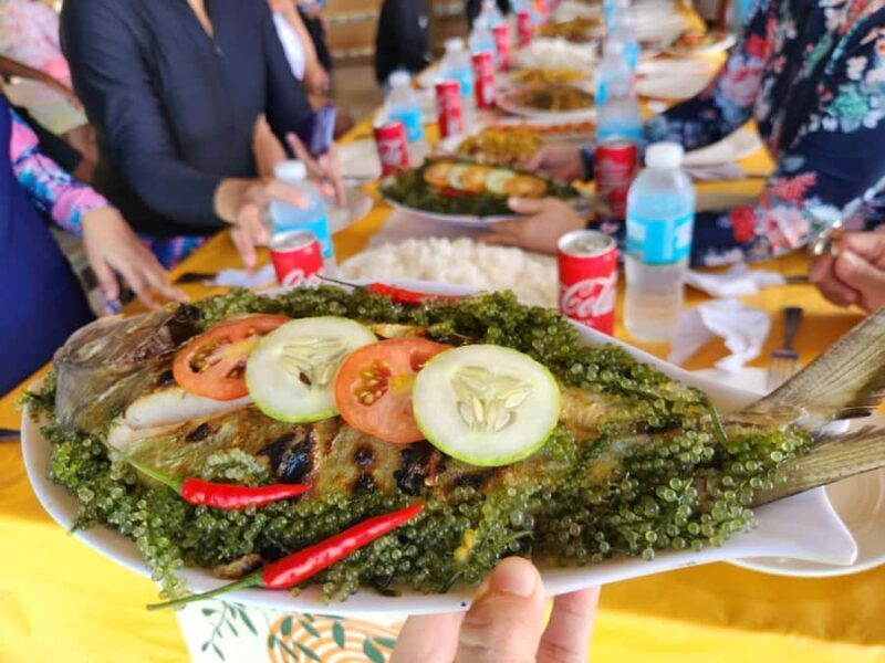 Coron: Dugong Watching Tour with Snorkeling - Final Thoughts