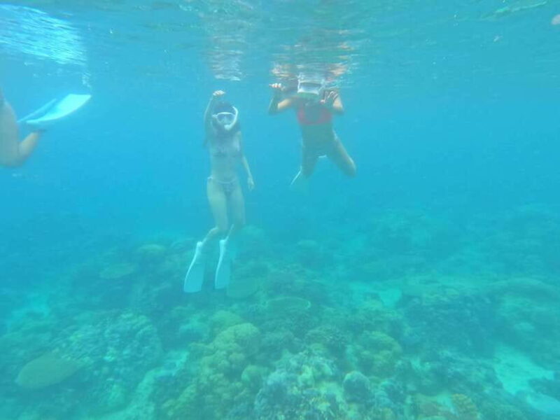 Coron: Dugong Watching with Sea Turtle and Coral Garden tour - Good To Know