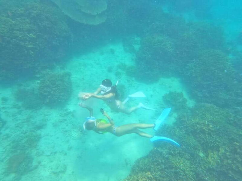 Coron: Dugong Watching with Sea Turtle and Coral Garden tour - Who Should Consider This Tour?