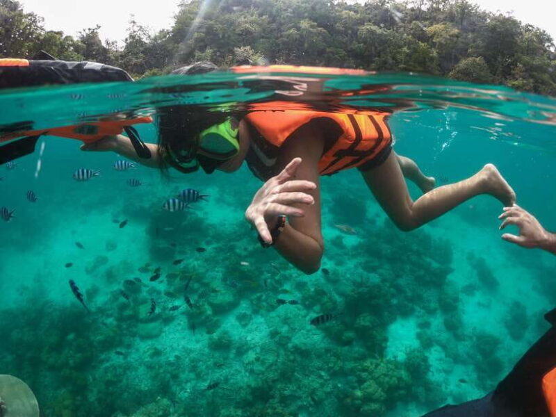 Coron Island Hopping: Super Ultimate Private Tour - Introduction: What to Expect from the Coron Island Hopping Super Ultimate Tour