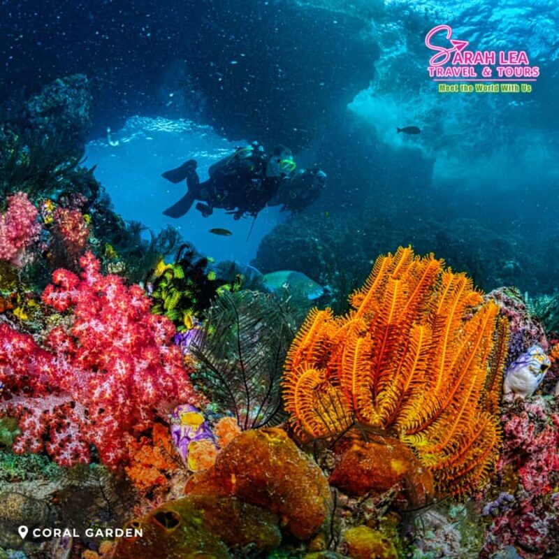 Coron: Island Hopping Tour A with Scenic Stops - Coron: Island Hopping Tour A with Scenic Stops — A Complete Guide