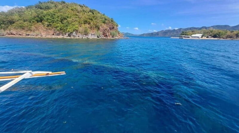 Coron Island: Reef and Wrecks Tour (JOINERS) - Good To Know
