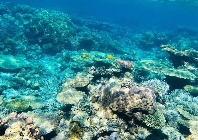 Coron: Island Tour B - Exploring Coron’s Highlights: What Makes Tour B Special