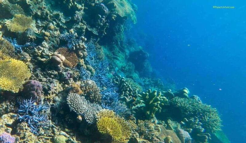 Coron Island Ultimate Tour (Private Tour) - Good To Know