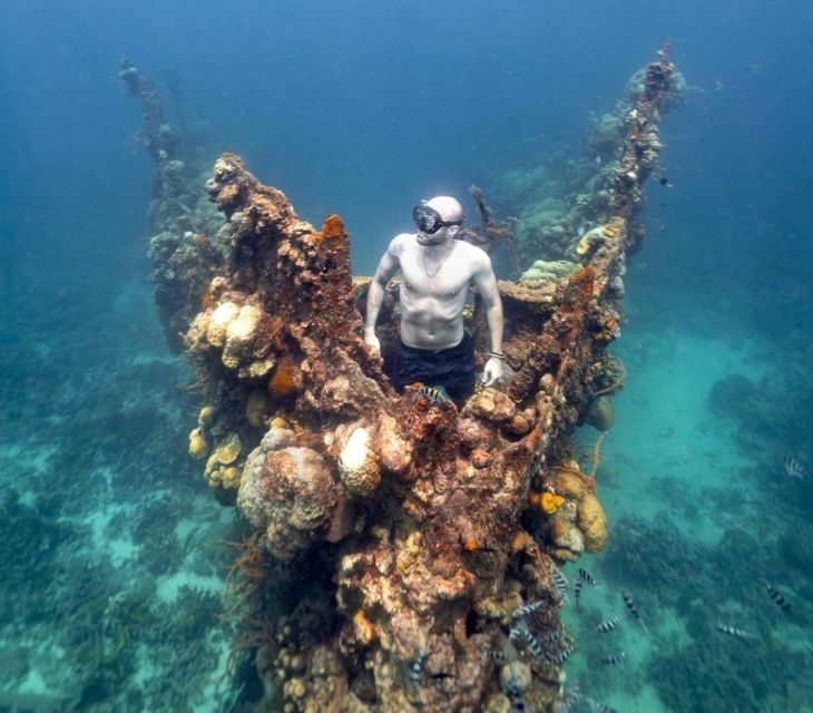 Coron Private Tour B: Barracuda Lake and Smith Beach - Activity Details and Additional Information