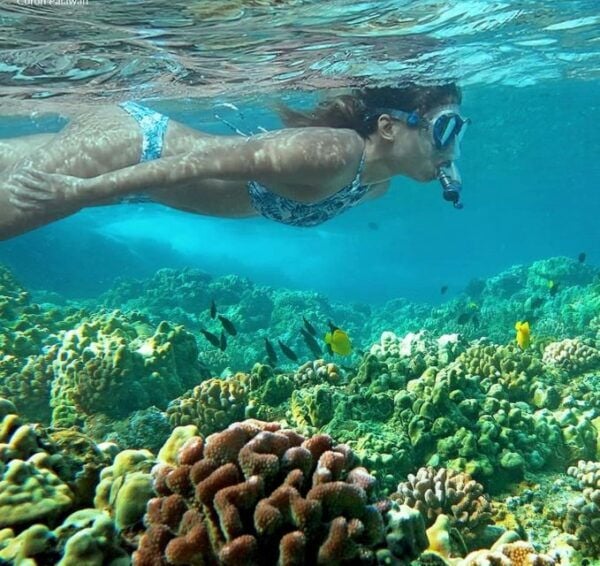 Coron Private Tour B: Barracuda Lake and Smith Beach - Positive Customer Experience