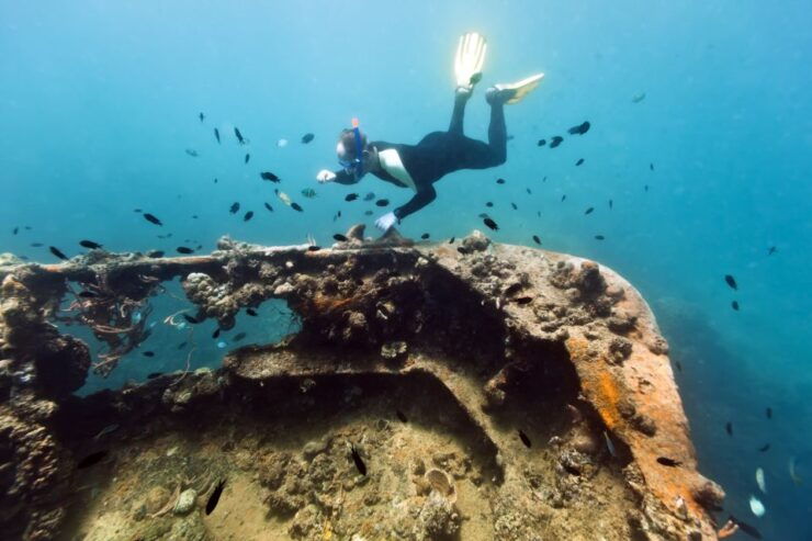 Coron Private Tour D: Reef and Wrecks - Duration and Guide Information